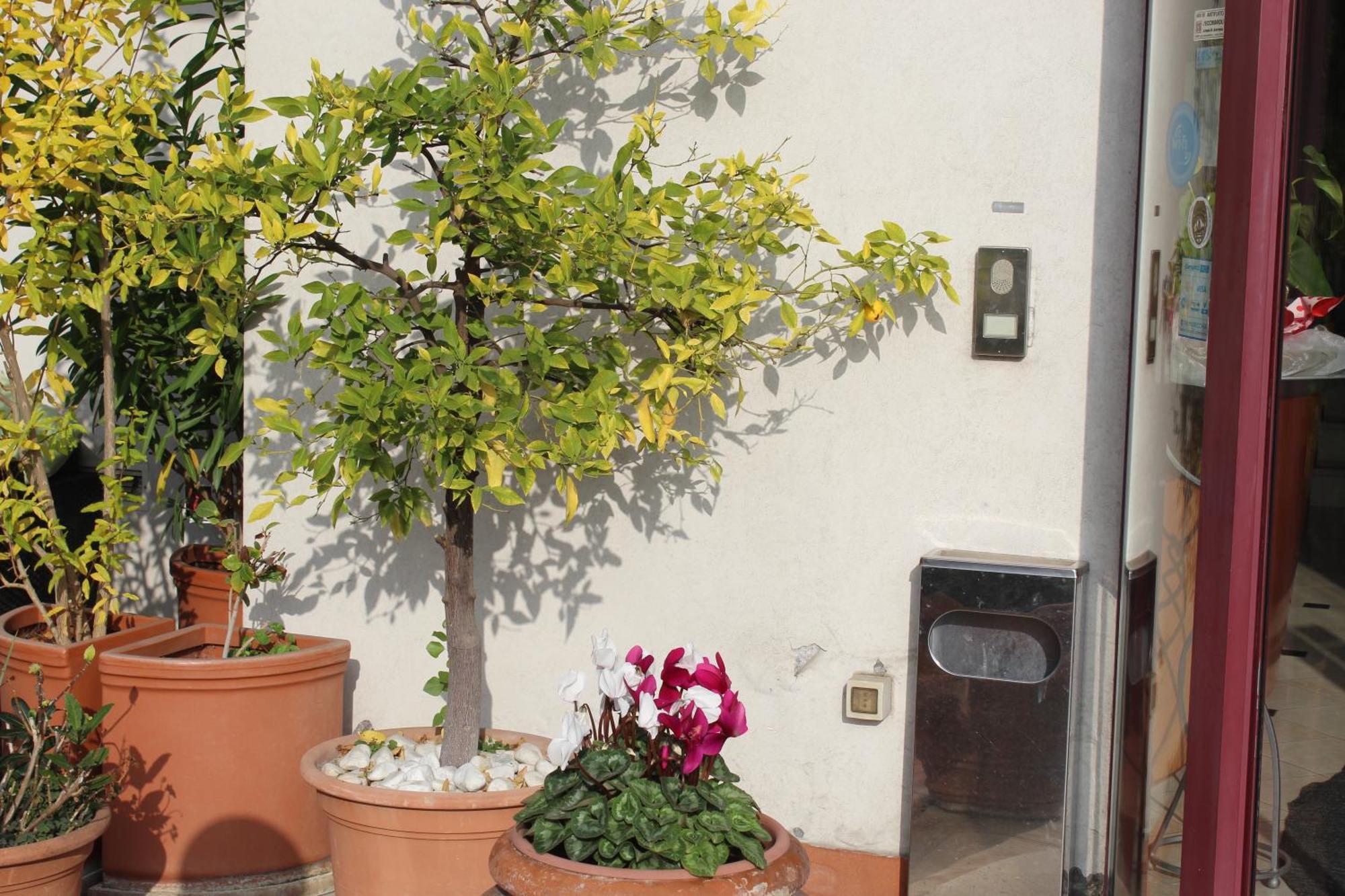 Hotel Arcangelo Rimini Buitenkant foto