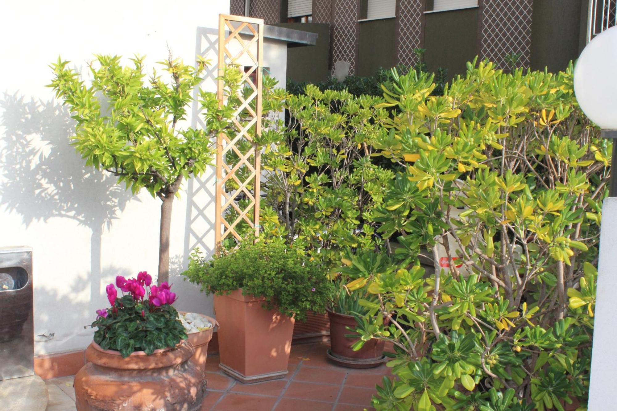 Hotel Arcangelo Rimini Buitenkant foto